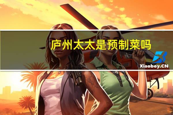 庐州太太是预制菜吗