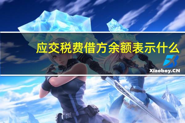 应交税费借方余额表示什么