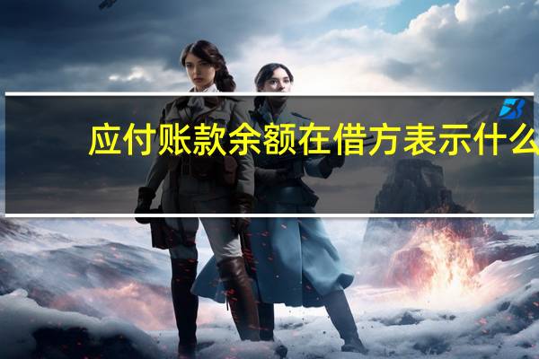 应付账款余额在借方表示什么
