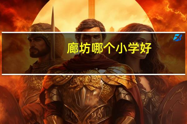 廊坊哪个小学好