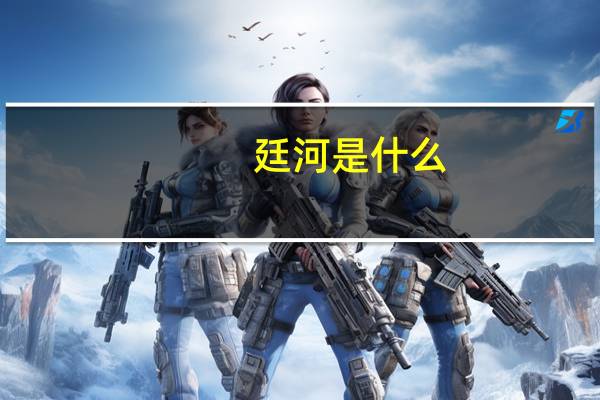 廷河是什么