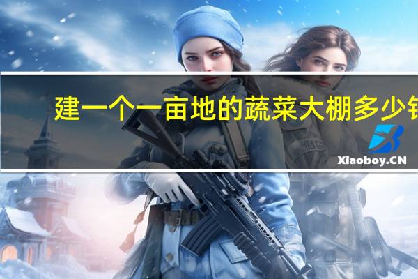 建一个一亩地的蔬菜大棚多少钱