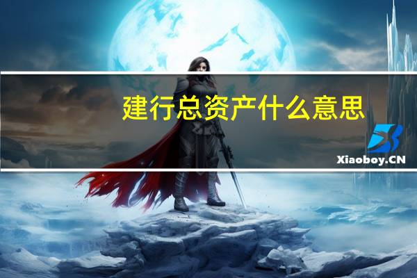 建行总资产什么意思