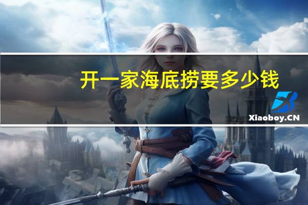 开一家海底捞要多少钱