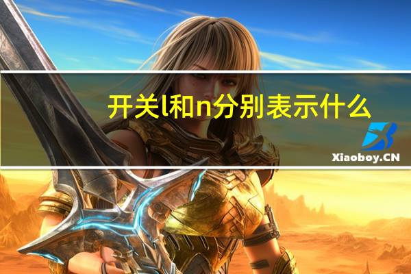 开关l和n分别表示什么