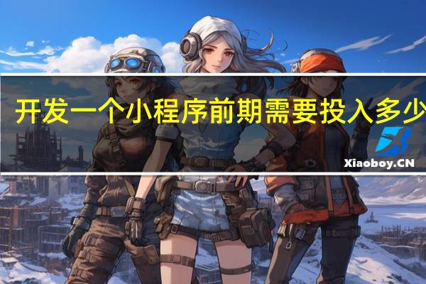 开发一个小程序前期需要投入多少费用