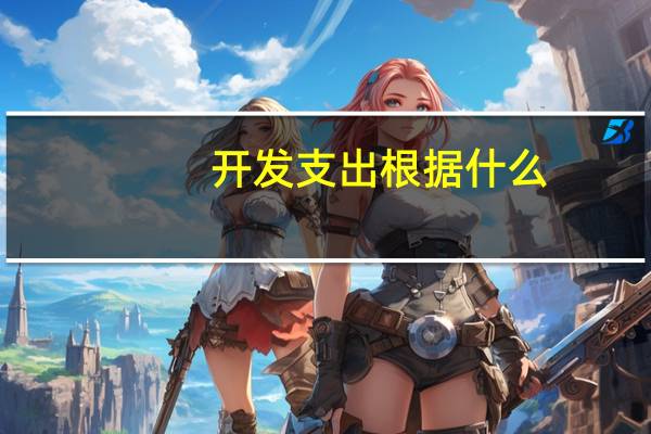 开发支出根据什么