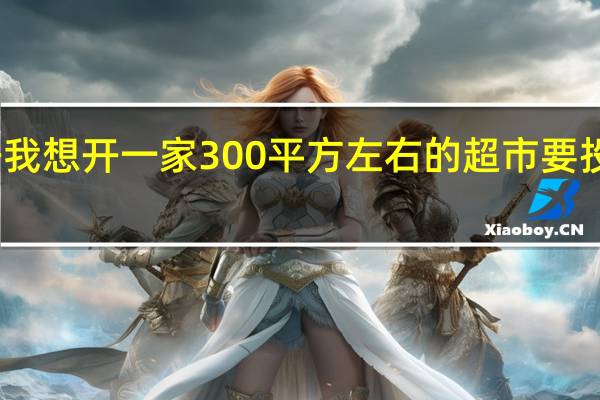 开我想开一家300平方左右的超市要投资多少