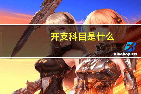 开支科目是什么