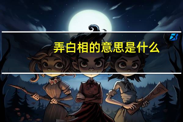 弄白相的意思是什么