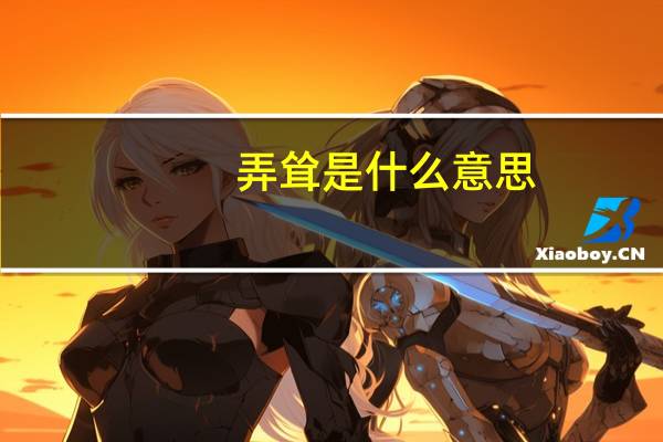 弄耸是什么意思