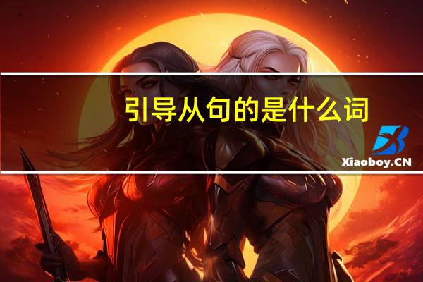 引导从句的是什么词