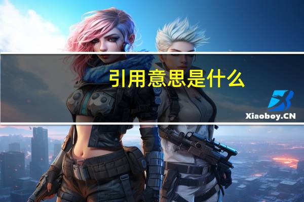 引用意思是什么