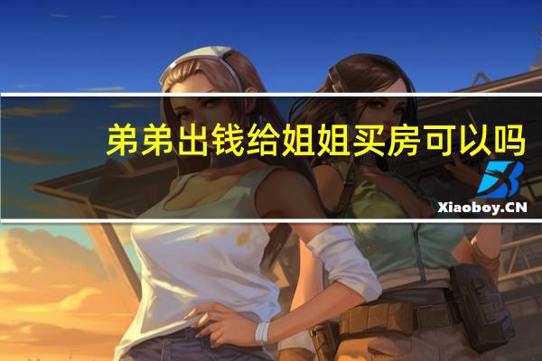 弟弟出钱给姐姐买房可以吗