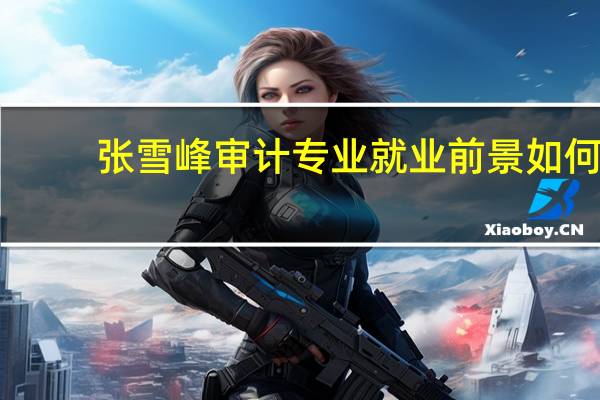 张雪峰审计专业就业前景如何
