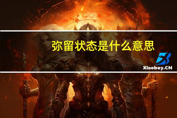 弥留状态是什么意思