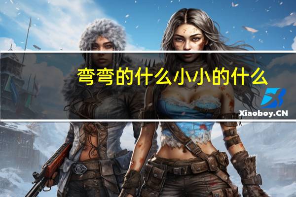 弯弯的什么小小的什么