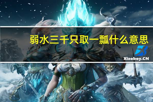 弱水三千只取一瓢什么意思