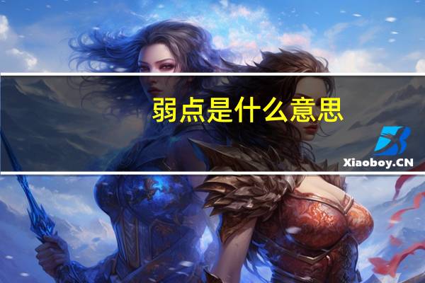 弱点是什么意思