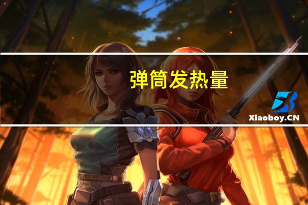 弹筒发热量