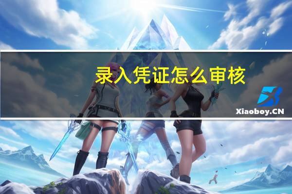 录入凭证怎么审核
