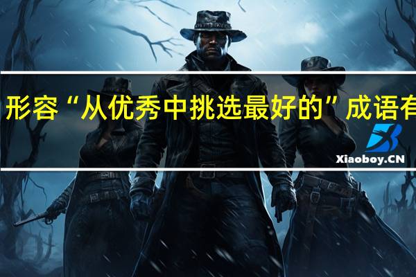 形容“从优秀中挑选最好的”成语有哪些