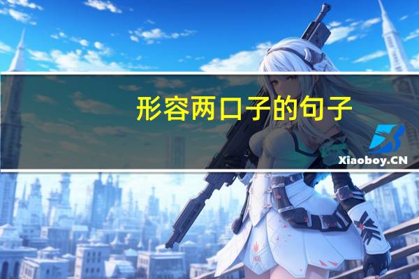 形容两口子的句子