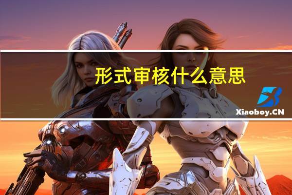 形式审核什么意思