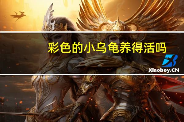 彩色的小乌龟养得活吗