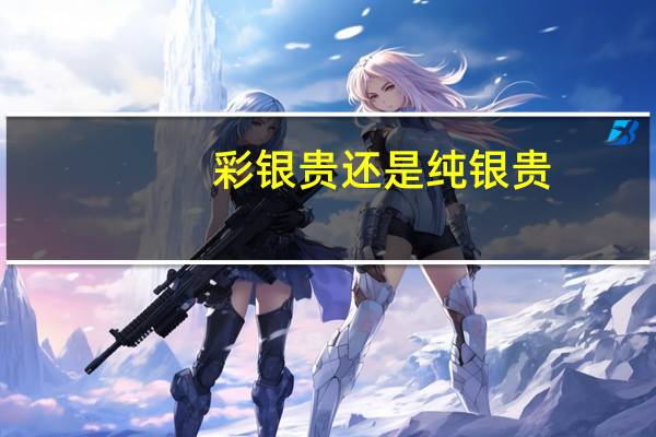 彩银贵还是纯银贵