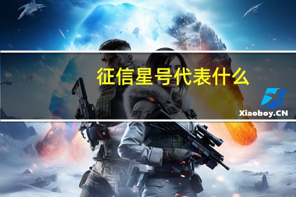 征信星号代表什么