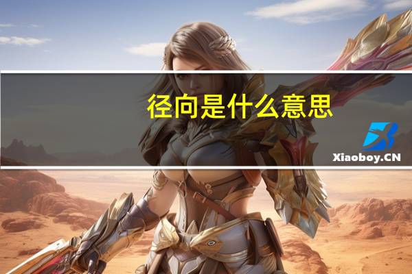 径向是什么意思