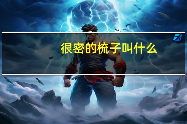 很密的梳子叫什么