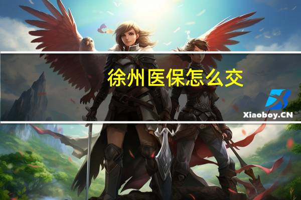 徐州医保怎么交