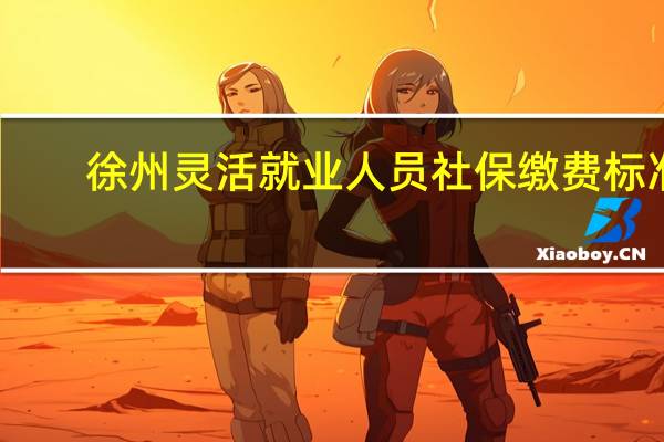 徐州灵活就业人员社保缴费标准