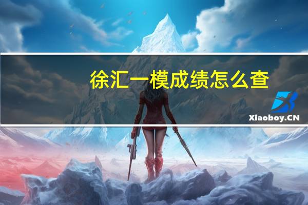 徐汇一模成绩怎么查