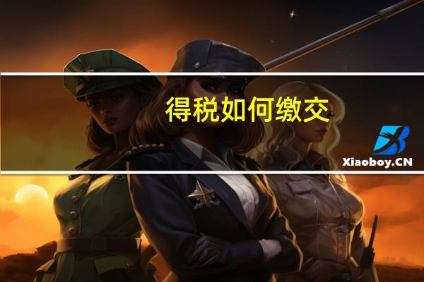 得税如何缴交