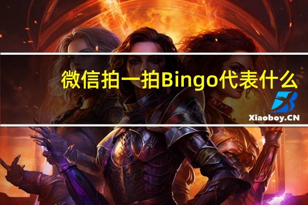 微信拍一拍Bingo代表什么