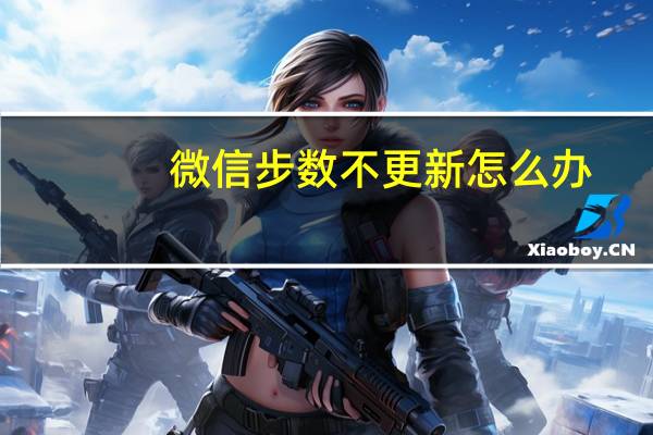 微信步数不更新怎么办