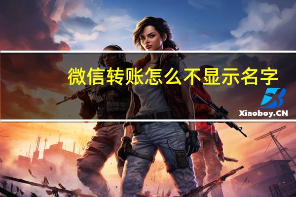 微信转账怎么不显示名字