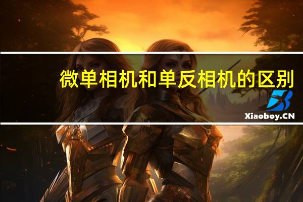 微单相机和单反相机的区别