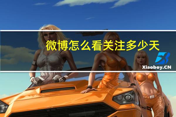 微博怎么看关注多少天