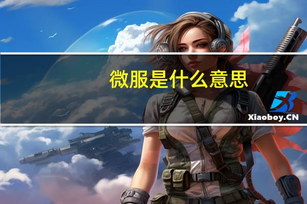 微服是什么意思