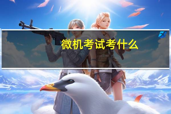 微机考试考什么