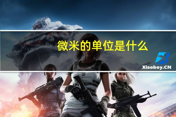 微米的单位是什么？
