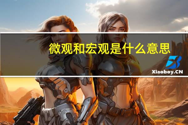 微观和宏观是什么意思