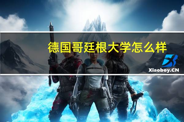 德国哥廷根大学怎么样？