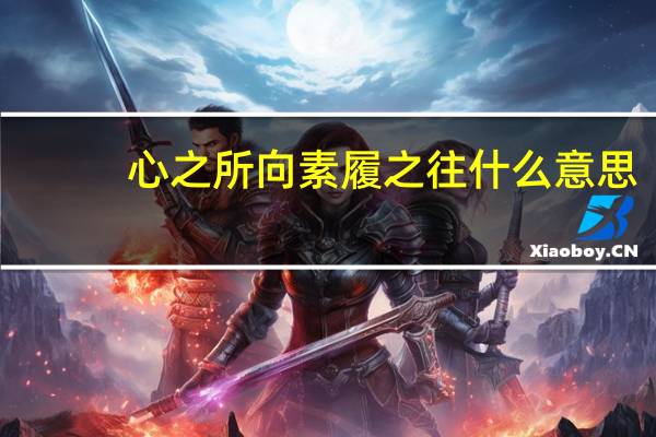 心之所向素履之往什么意思