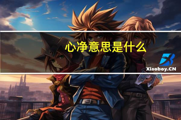 心净意思是什么