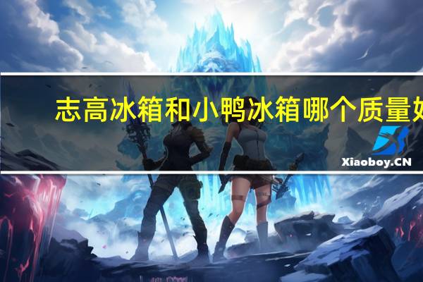 志高冰箱和小鸭冰箱哪个质量好